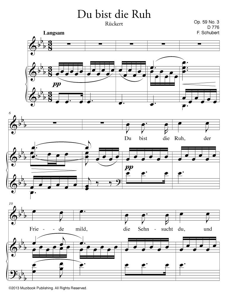SCHUBERT /LIEDER Ⅰ (高声用) EDTION PETER'S Schubert Lieder, Volume 1 (high voice) | Juilliard Store